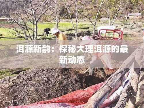 洱源新韵:探秘大理洱源的最新动态