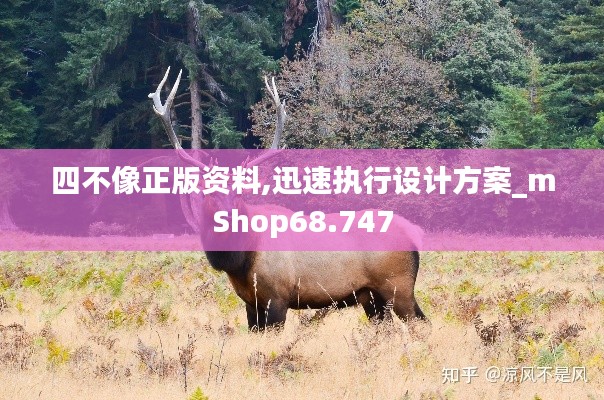 四不像正版资料,迅速执行设计方案_mShop68.747