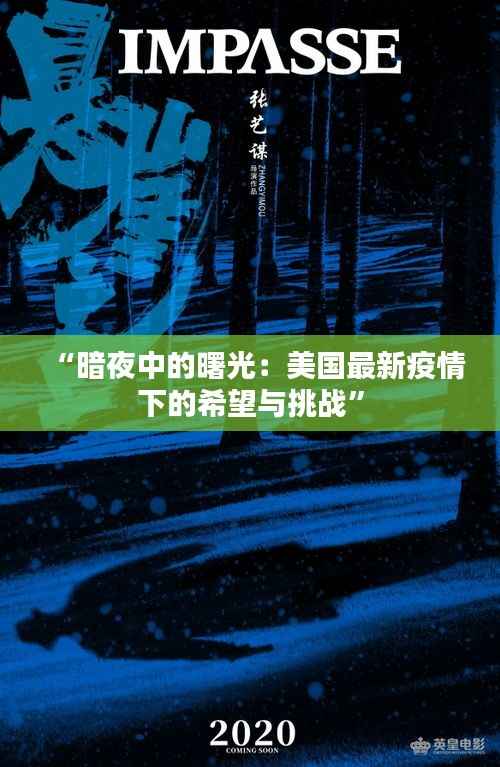 “暗夜中的曙光:美国最新疫情下的希望与挑战”