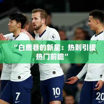 “白鹿巷的新星:热刺引援热门前瞻”