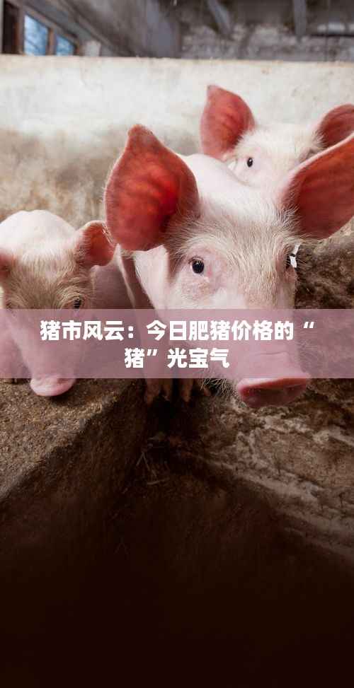 百年不遇 第4页