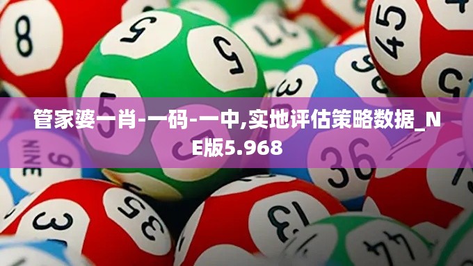 管家婆一肖-一码-一中,实地评估策略数据_NE版5.968