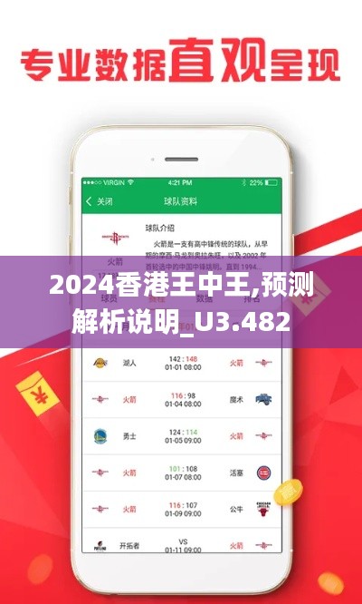 2024香港王中王,预测解析说明_U3.482
