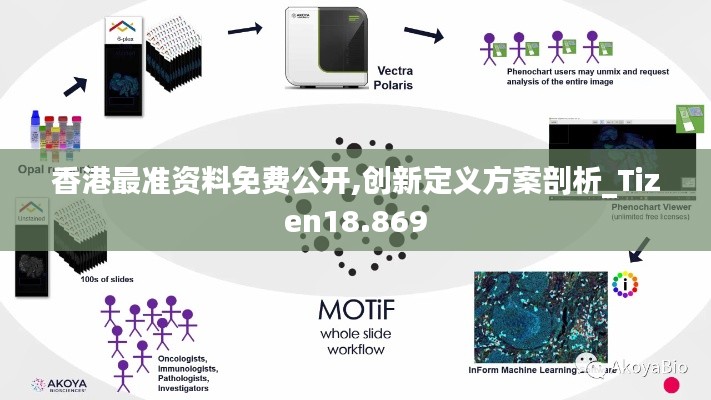 香港最准资料免费公开,创新定义方案剖析_Tizen18.869