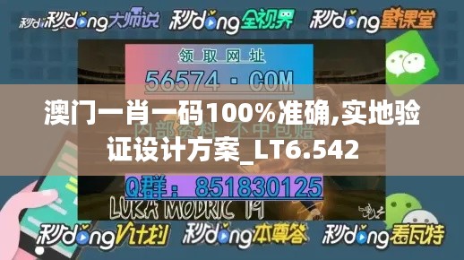 澳门一肖一码100%准确,实地验证设计方案_LT6.542