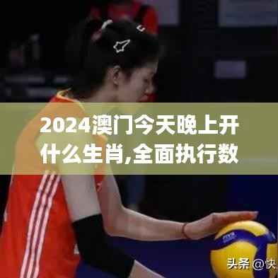 2024澳门今天晚上开什么生肖,全面执行数据计划_复刻款2.624
