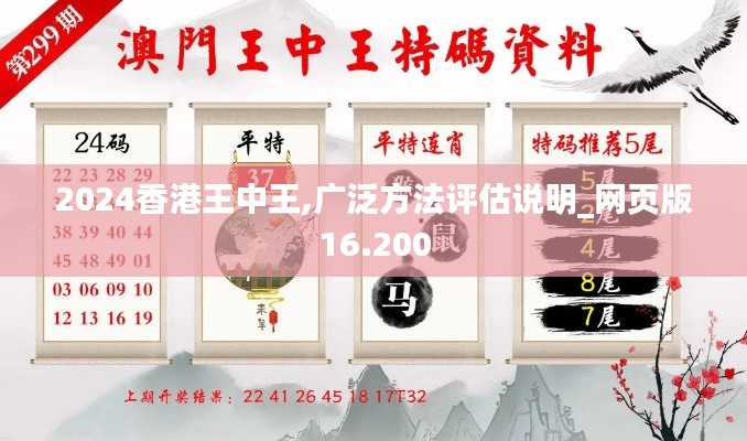 2024香港王中王,广泛方法评估说明_网页版16.200