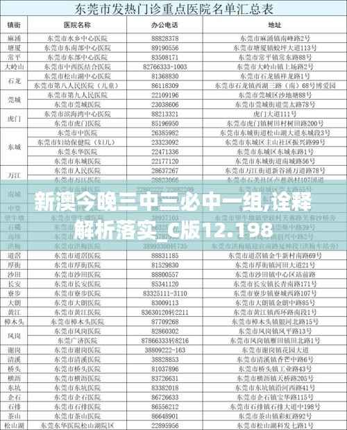 新澳今晚三中三必中一组,诠释解析落实_C版12.198