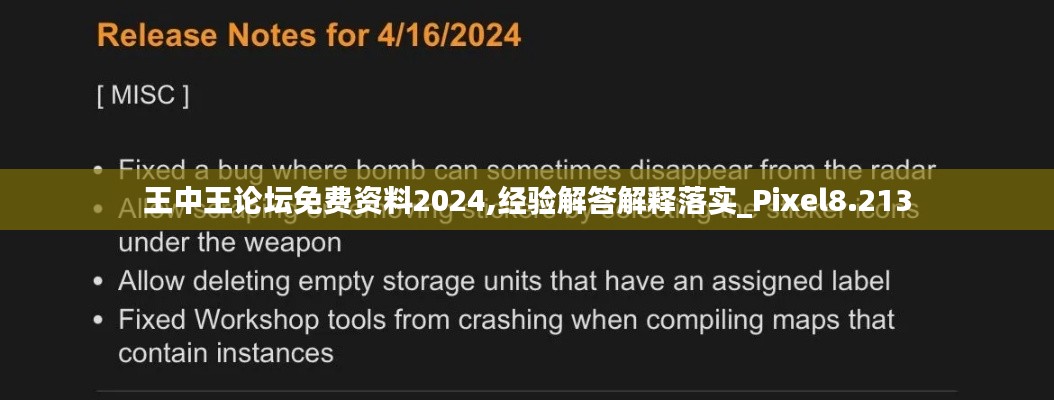 王中王论坛免费资料2024,经验解答解释落实_Pixel8.213