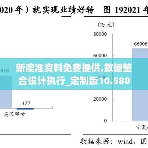 新澳准资料免费提供,数据整合设计执行_定制版10.580
