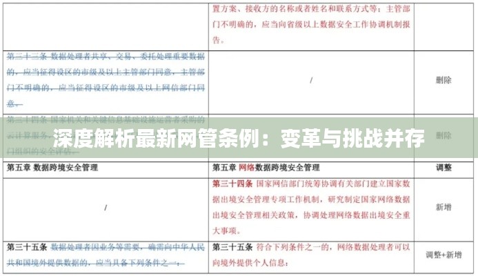 深度解析最新网管条例：变革与挑战并存