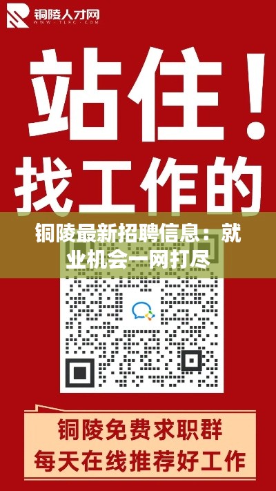 铜陵最新招聘信息:就业机会一网打尽