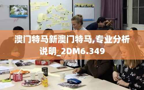 澳门特马新澳门特马,专业分析说明_2DM6.349