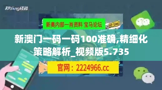 新澳门一码一码100准确,精细化策略解析_视频版5.735