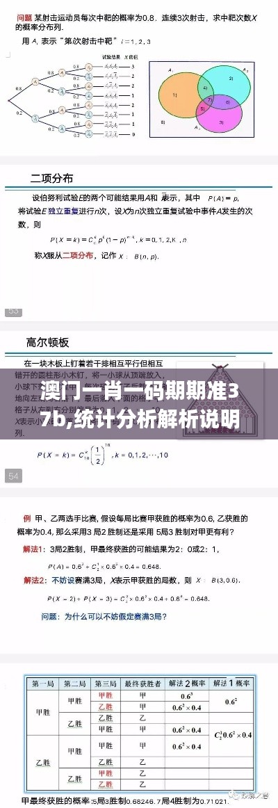 澳门一肖一码期期准37b,统计分析解析说明_XR110.738