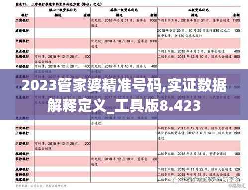 2023管家婆精准号码,实证数据解释定义_工具版8.423