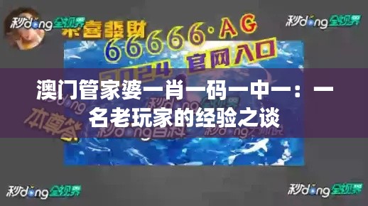 澳门管家婆一肖一码一中一:一名老玩家的经验之谈