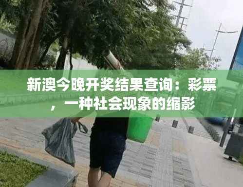 新澳今晚开奖结果查询:彩票,一种社会现象的缩影