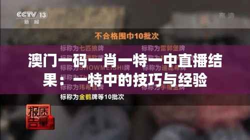 澳门一码一肖一特一中直播结果：一特中的技巧与经验