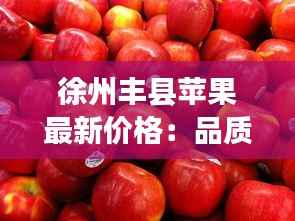 联系方式 第203页