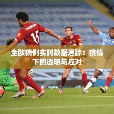 全欧病例实时数据追踪：疫情下的透明与应对