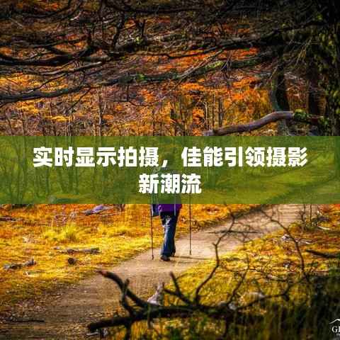 实时显示拍摄，佳能引领摄影新潮流