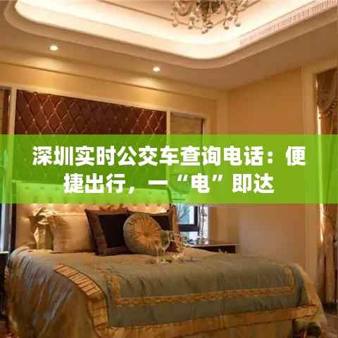 深圳实时公交车查询电话:便捷出行,一“电”即达