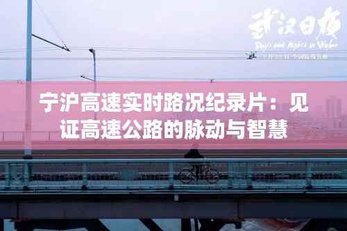 宁沪高速实时路况纪录片:见证高速公路的脉动与智慧