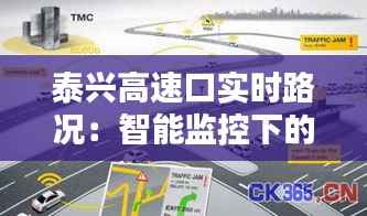 泰兴高速口实时路况:智能监控下的出行助手