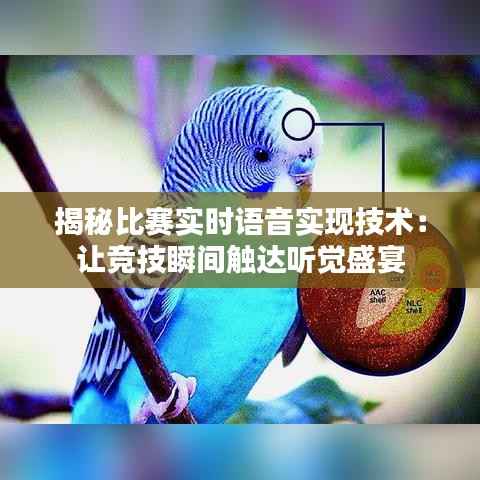 揭秘比赛实时语音实现技术:让竞技瞬间触达听觉盛宴