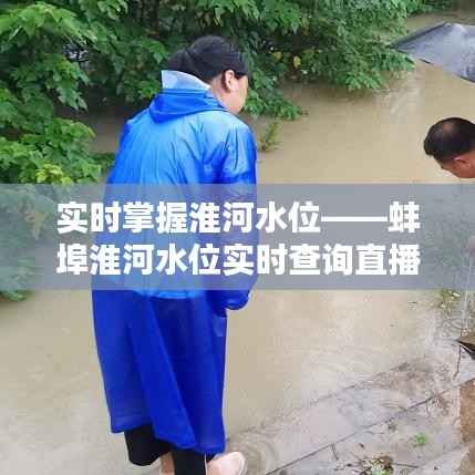 实时掌握淮河水位——蚌埠淮河水位实时查询直播解析