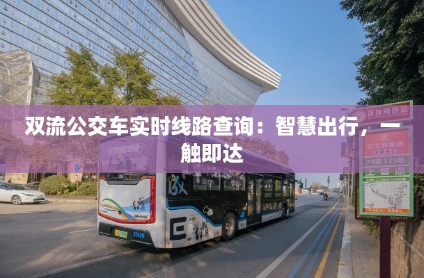 双流公交车实时线路查询：智慧出行，一触即达