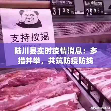 陆川县实时疫情消息:多措并举,共筑防疫防线