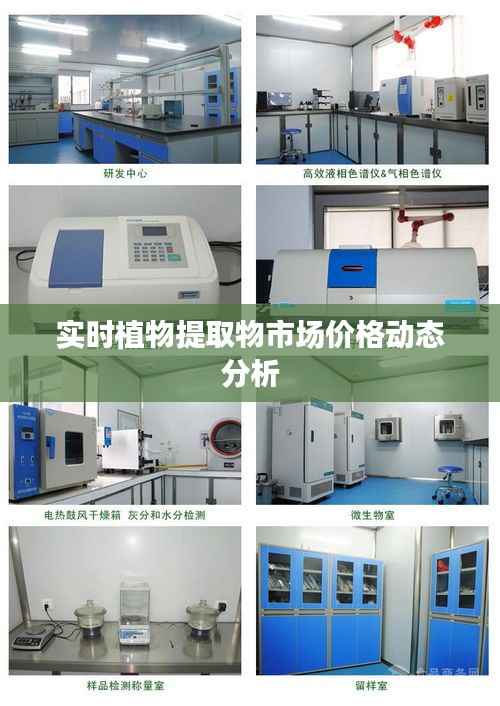 实时植物提取物市场价格动态分析