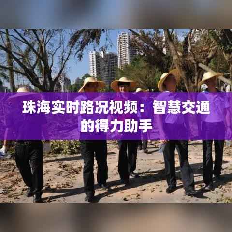 珠海实时路况视频:智慧交通的得力助手