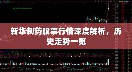 新华制药股票行情深度解析,历史走势一览