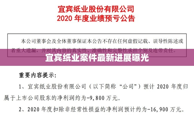 宜宾纸业案件最新进展曝光