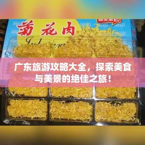 广东旅游攻略大全，探索美食与美景的绝佳之旅！