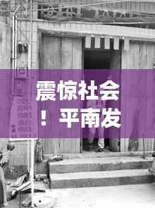 震惊社会！平南发生一起重大杀人案件，新闻头条揭秘案情真相