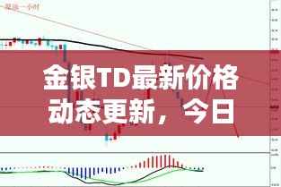 金银TD最新价格动态更新，今日行情一览