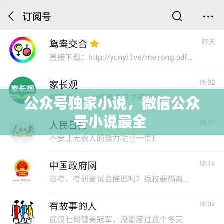 公众号独家小说,微信公众号小说最全
