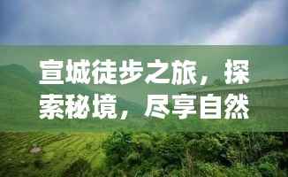 宣城徒步之旅,探索秘境,尽享自然之美!