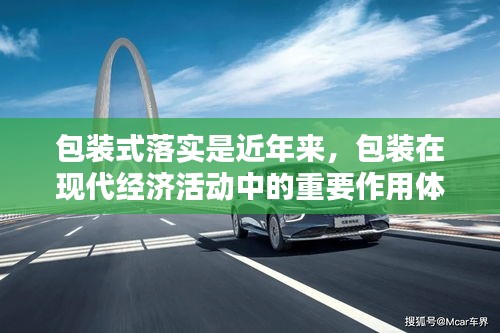 笨鸟先飞 第3页