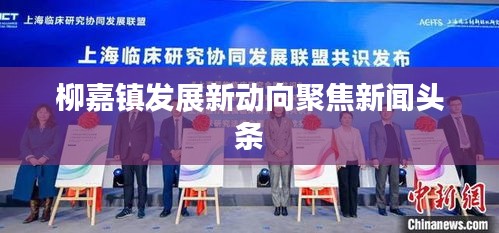 柳嘉镇发展新动向聚焦新闻头条