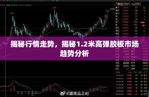 揭秘行情走势,揭秘1.2米高弹胶板市场趋势分析