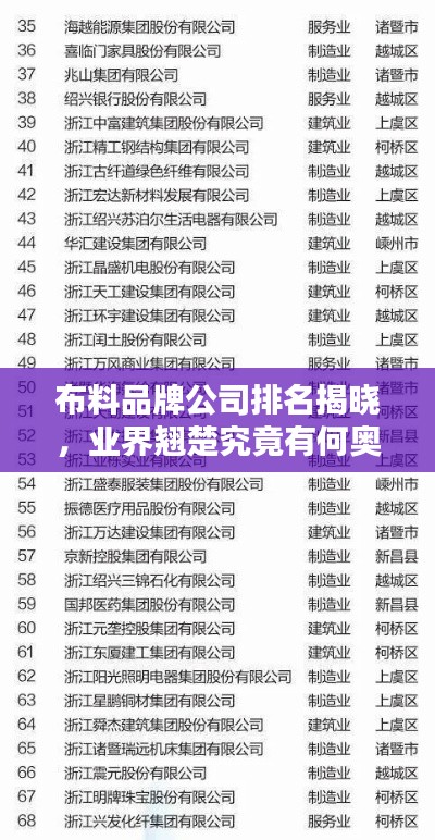 布料品牌公司排名揭晓,业界翘楚究竟有何奥秘?