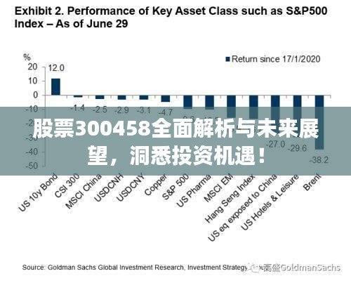 股票300458全面解析与未来展望，洞悉投资机遇！