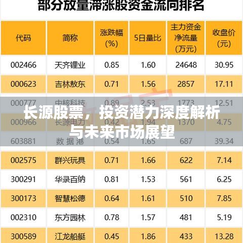 长源股票,投资潜力深度解析与未来市场展望