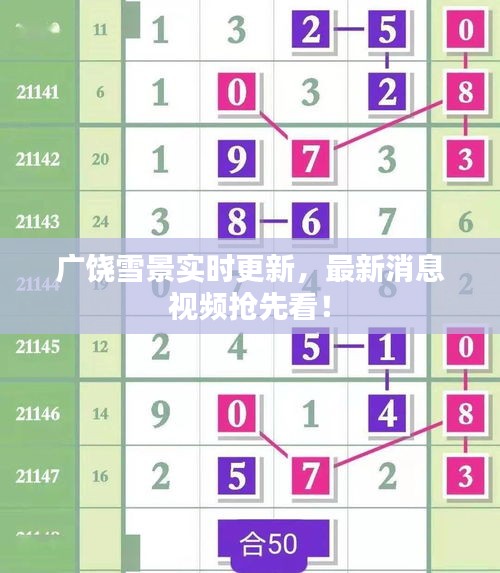 广饶雪景实时更新,最新消息视频抢先看!