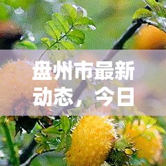 盘州市最新动态，今日情况更新报道